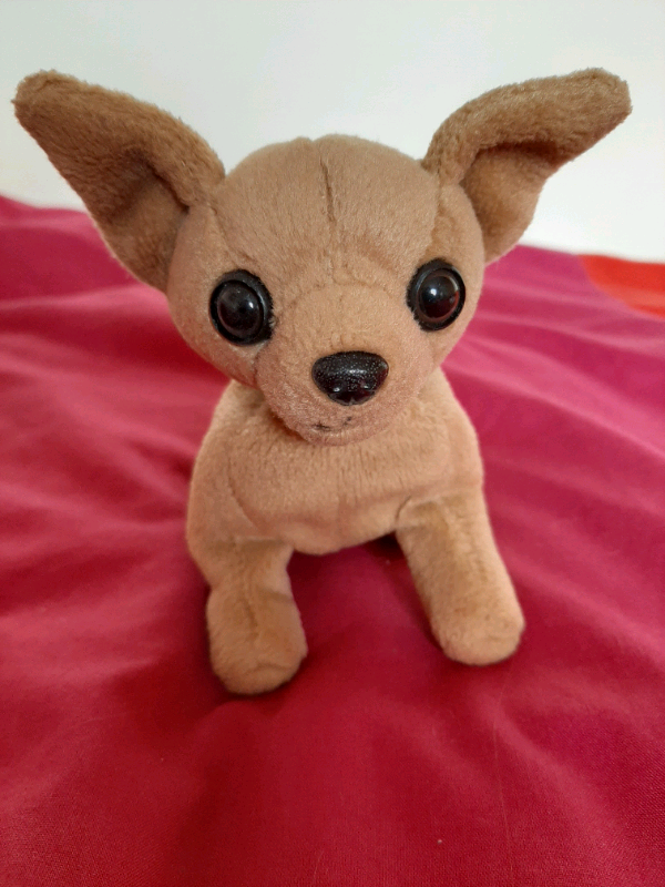 ty beanie babies tiny the chihuahua dog